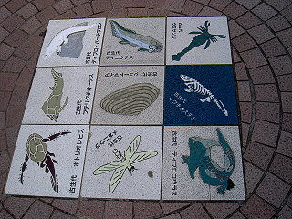 081005_04.jpg
