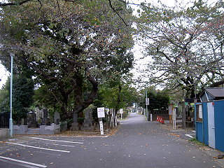 081108_07.jpg