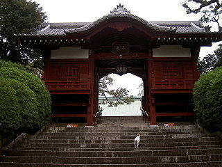 081115_05.jpg