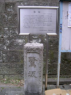 081115_12.jpg