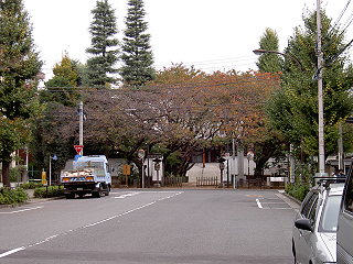 081115_17.jpg