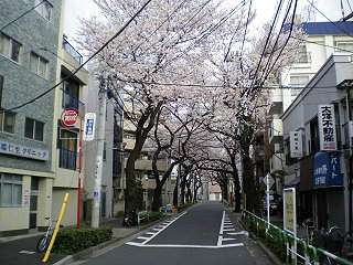 100403_02.jpg