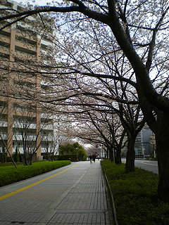 100403_03.jpg
