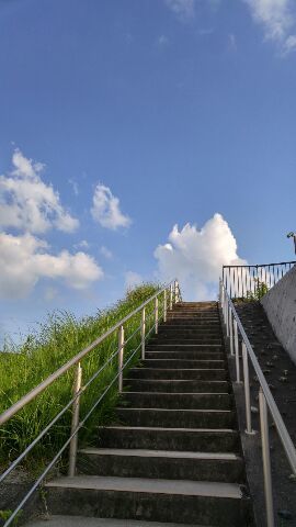 1528013386848.jpg