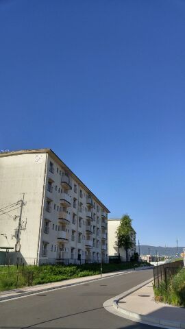 1534457831201.jpg