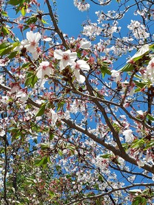 20230410_141633.jpg