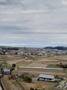20250303_144756.jpg