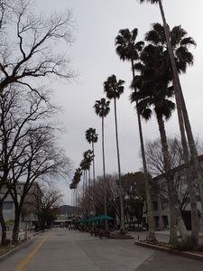 20250306_142755.jpg