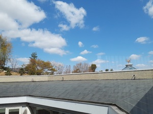 20250404_115555.jpg