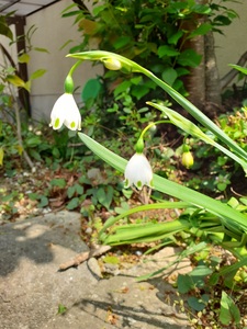 20250416_125334.jpg